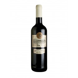 Muller thurgau